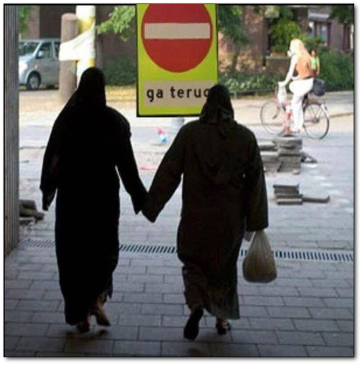 Weigeren te integreren / assimileren? Terug naar huis!